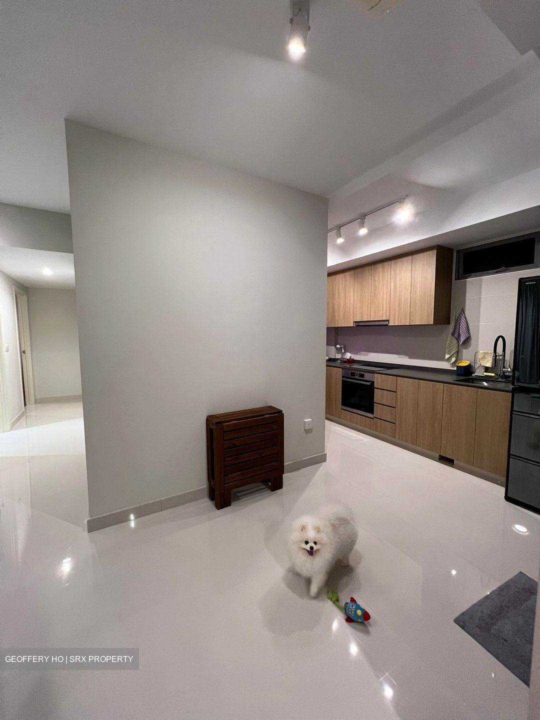 Shiro (D15), Apartment #518809031